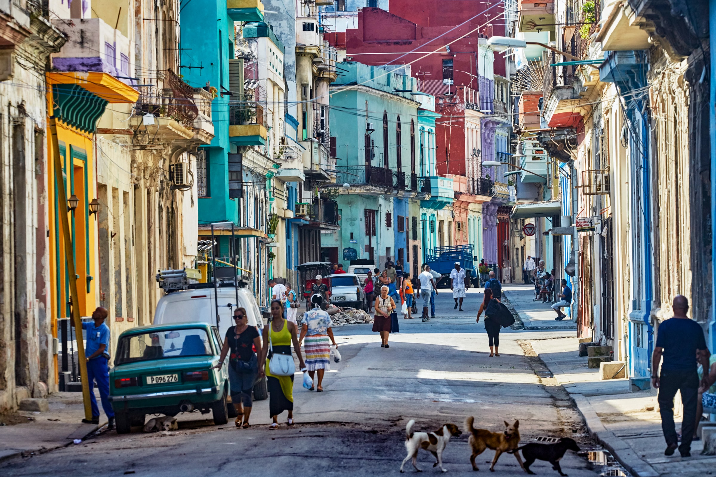 dorothea-oldani cuba